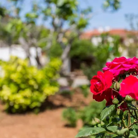 Rezika Appartement *