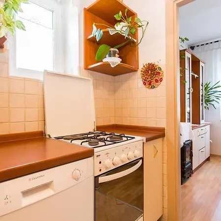 Apartament Rezika